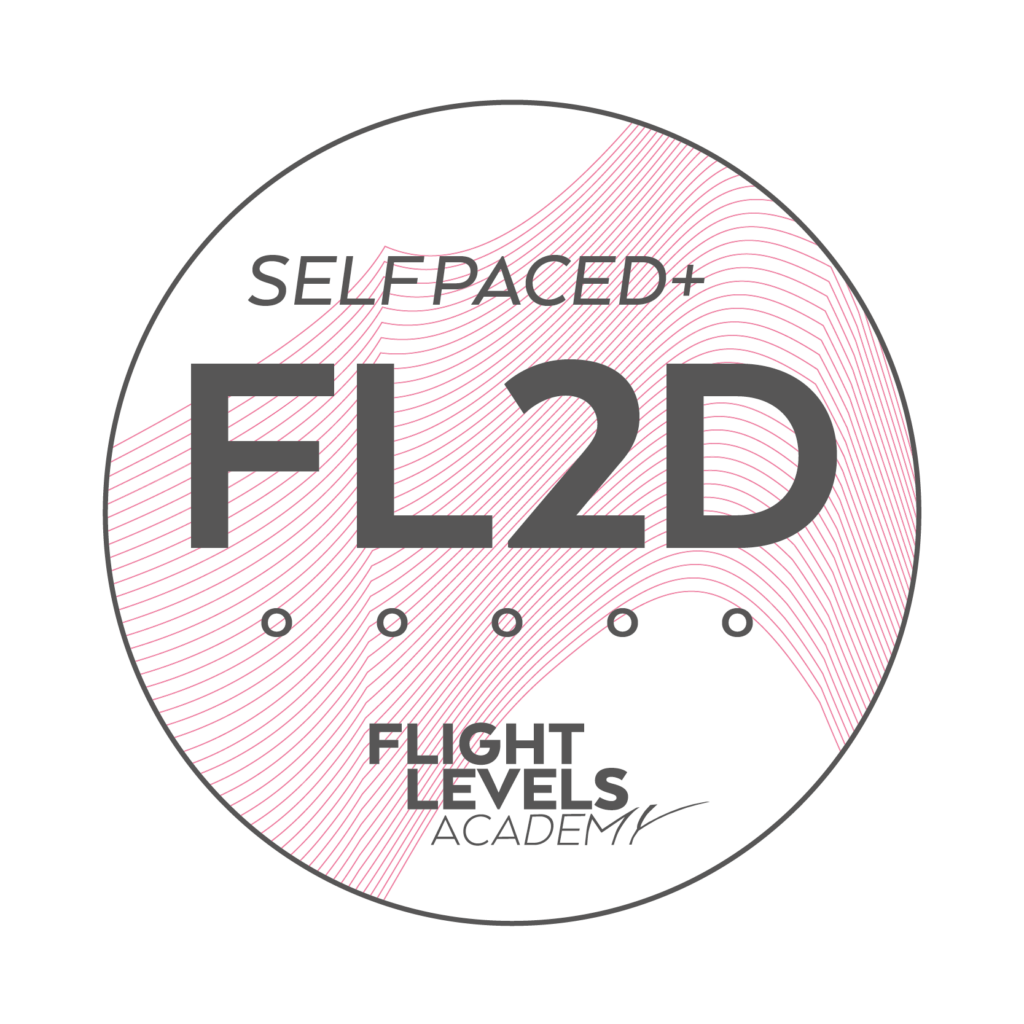 Flight Level 2 Design Video Course