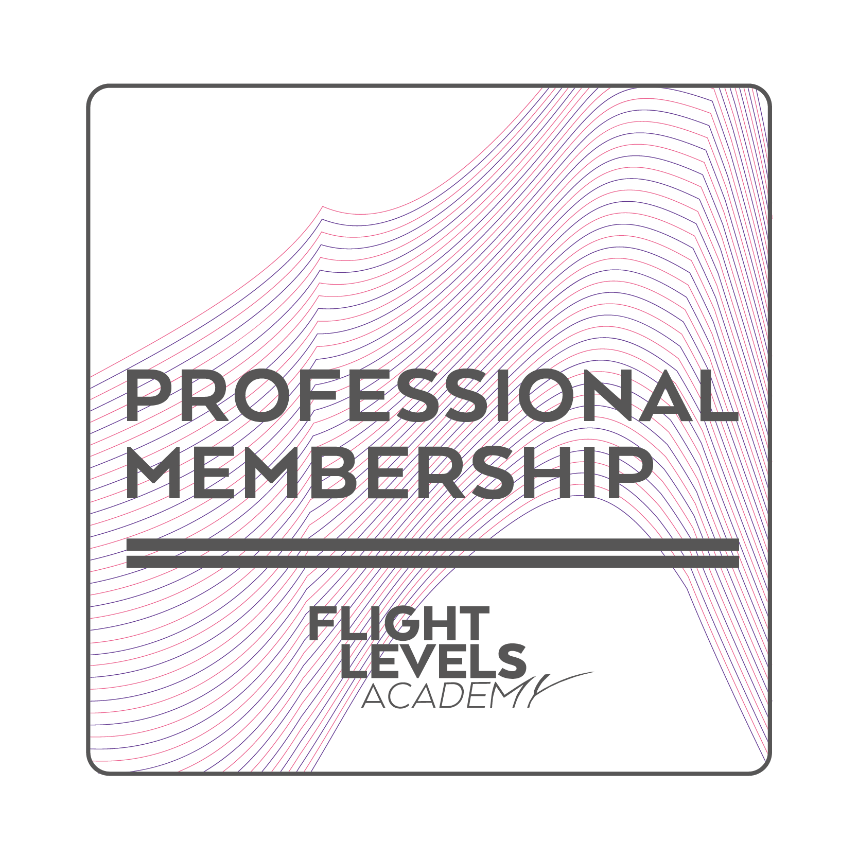 Sticker: Flight Levels Professional Membership